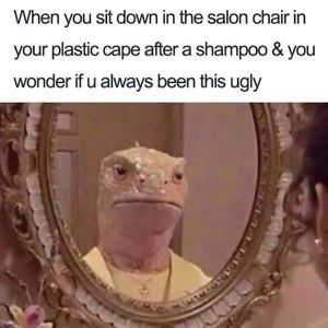 Meet your Posher, Randy